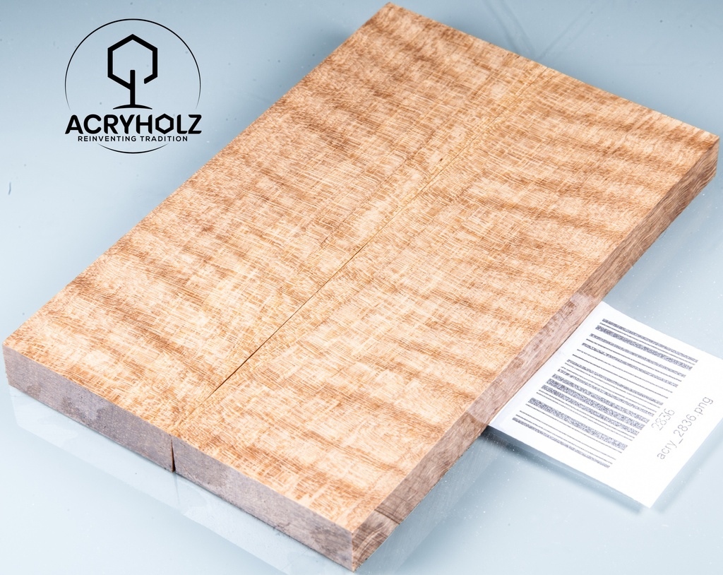 Walnuss Griffschalen geriegelt stabilisiert | 130x40x30 | acryholz | 2836