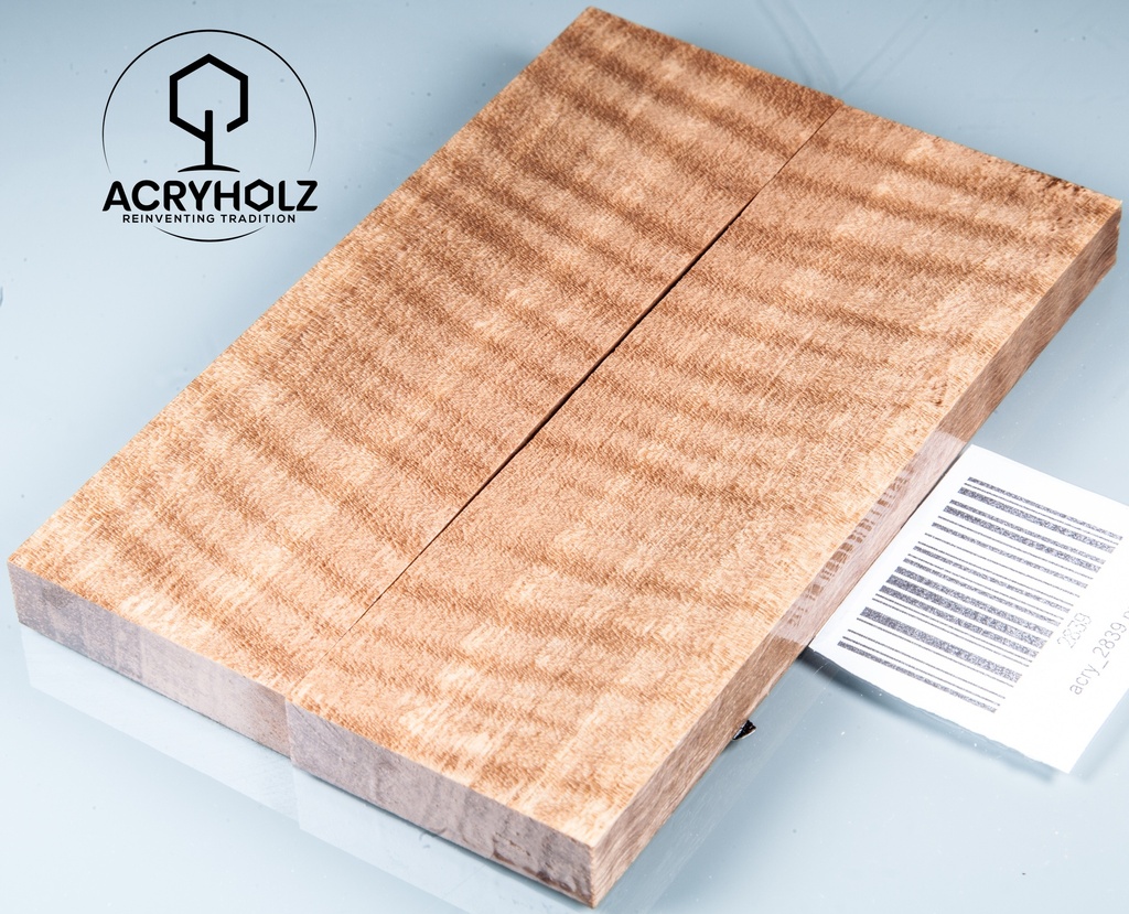 Walnuss Griffschalen geriegelt stabilisiert | 130x40x10 | acryholz | 2838 (Kopie)