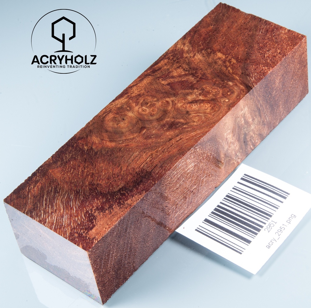 Walnuss Maser Griffblock stabilisiert | 130x40x30 | acryholz | 2951