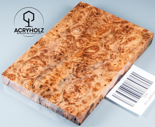 [2209] Linden Burl Stabilized | 120x40x10 | acryholz | pair of scales 2209