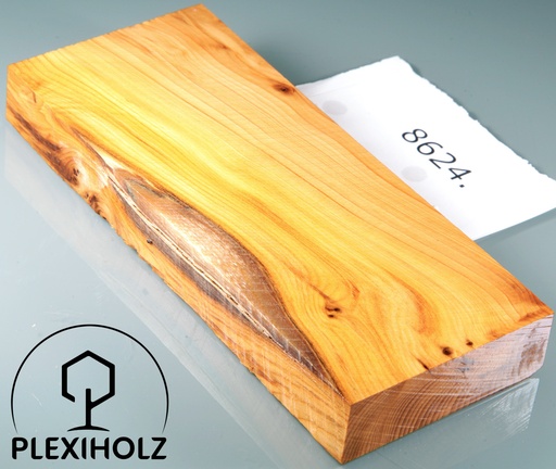 [0111] Loupe de Thuya Bloc pour Manche Stabilisé | 147x61x19 | plexiholz | 8624